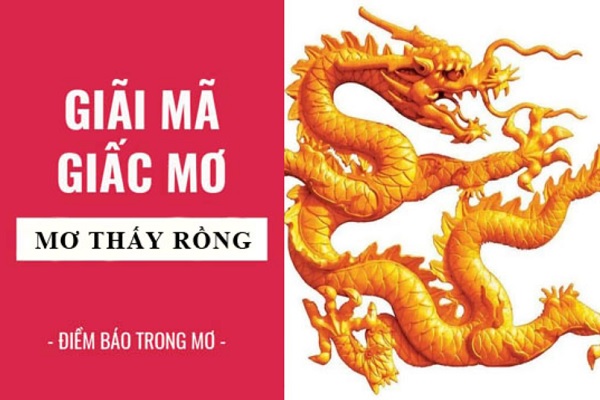 Ngủ mơ rồng vàng trong mộng